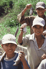 Young Vietnamese boys with rats